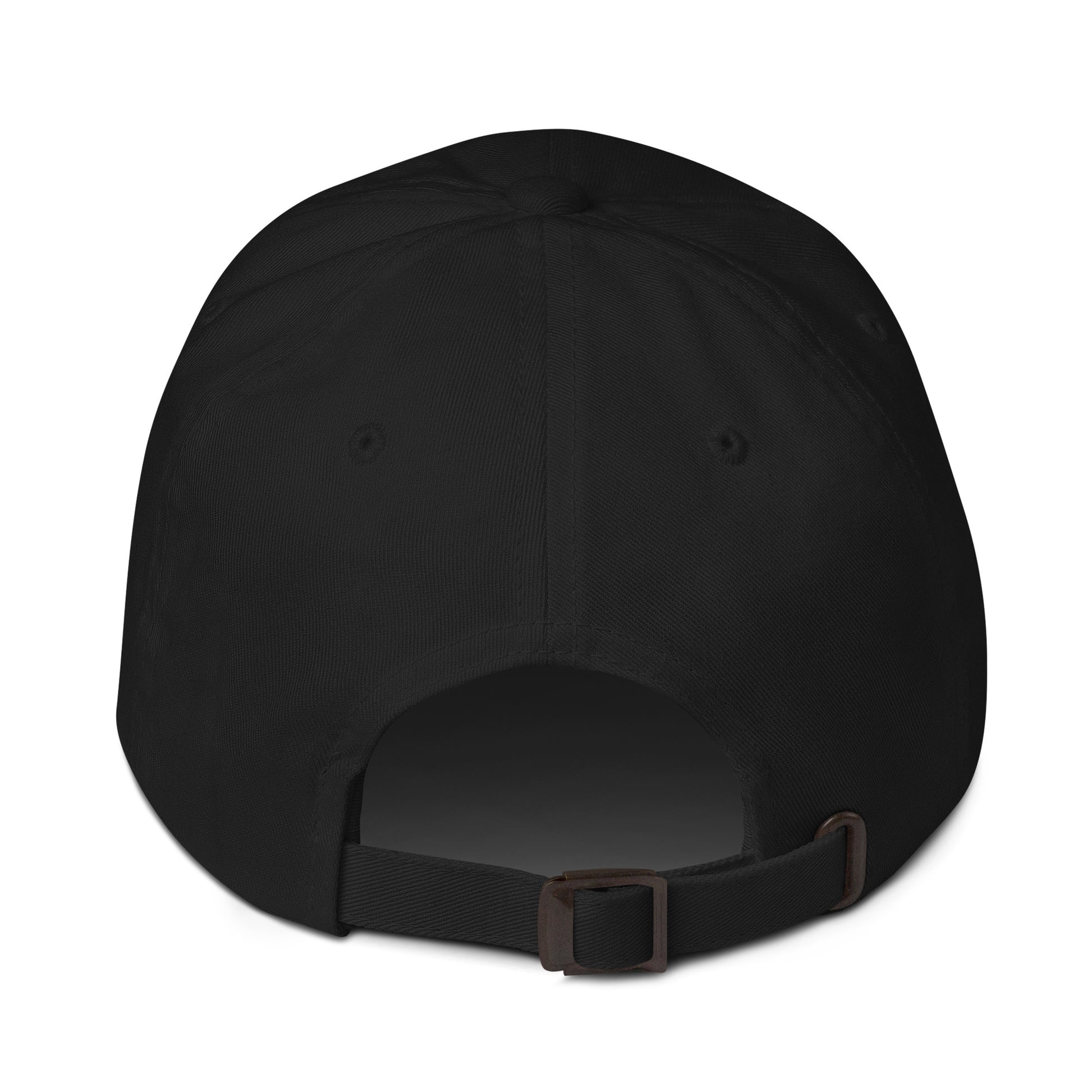 Labaka doma pasaule hat black back