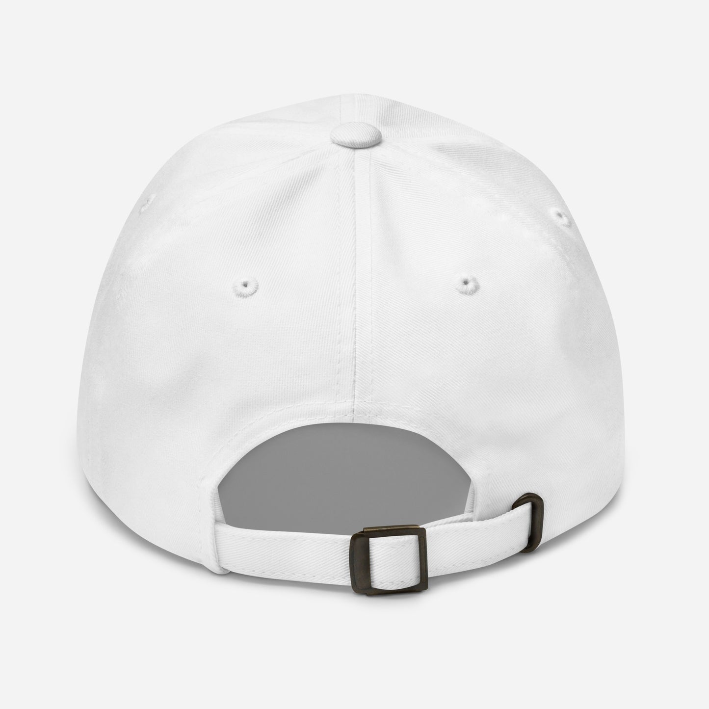 Labaka doma pasaule hat white back