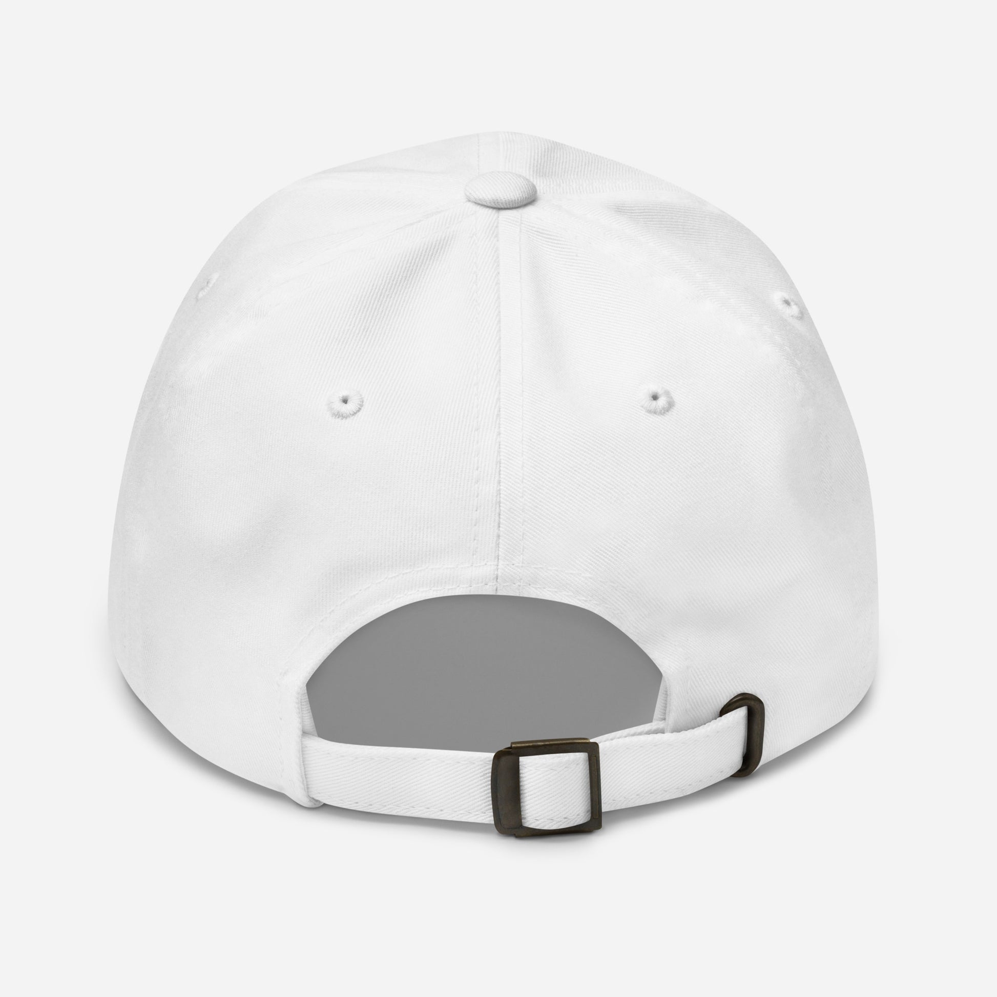 Labaka doma pasaule hat white back